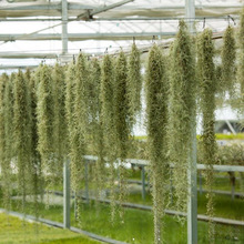 �՚��P��֧����o��ֲ��՚�����}����횽M�ϒ���k�����������G