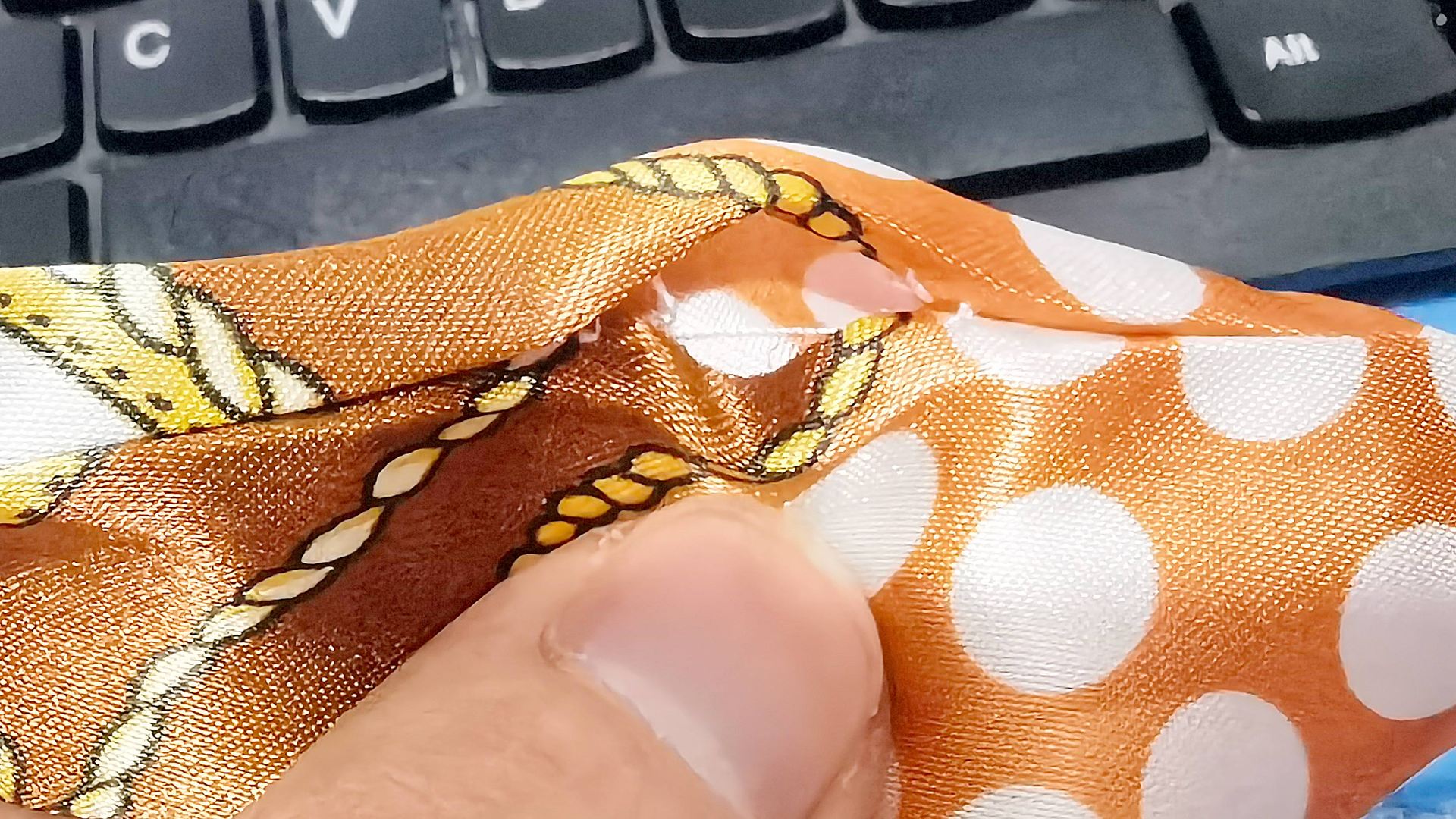 0c117fb55d596a66a3debd58c3e582