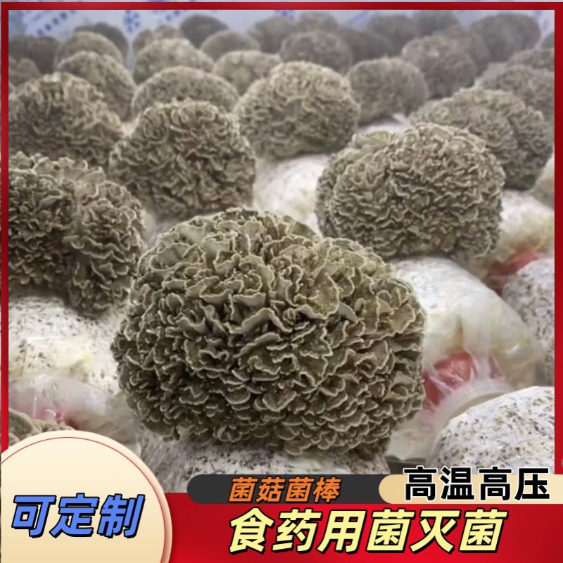 羊肚菌食用菌灭菌设备高温高压食用菌灭菌器食药用菌灭菌柜