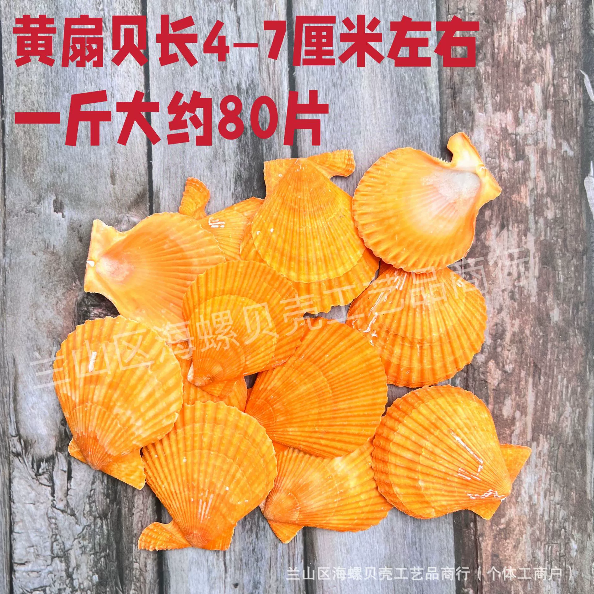 Shell Natural Shell Conch Stars Drifting Bottle Shell Crafts Wholesale Diy Handmade Shell Materials