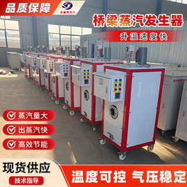 48KW全自动电热燃油蒸汽发生器桥梁蒸汽养护器锅炉桥梁蒸汽养护机