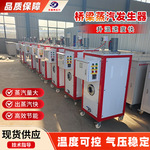 48KW全自动电热燃油蒸汽发生器桥梁蒸汽养护器锅炉桥梁蒸汽养护机