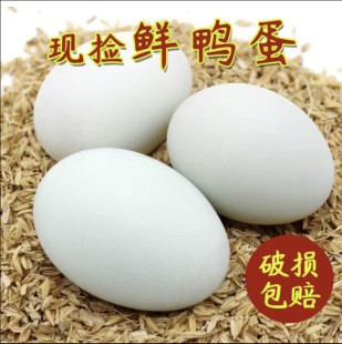 ���r�����������r��ɢ�B���������l������B10-40ö�b���Ɠp�r��