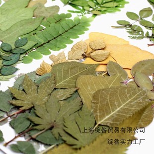 �G�~���ϰ��M�ϰ� ����~�˱��N�� ��ͯ�ֹ����� ����y �Ĕz����