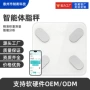 充电外贸定制家用人体秤