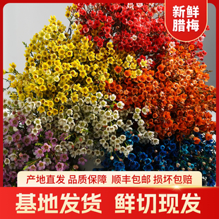 �D÷ˮ���r�л���ϻ����҃Ȼ���ֱ�l�͏d�[��Ϟ÷�t÷���������l