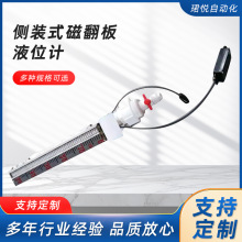厂家供应侧装式磁翻板液位计远传面板浮子水位计工业耐腐蚀