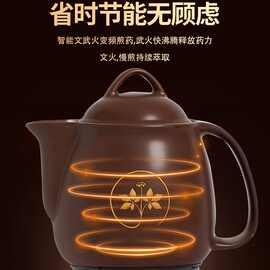 全自动煎药壶熬砂锅壶中医电药煲罐家用熬锅宿舍