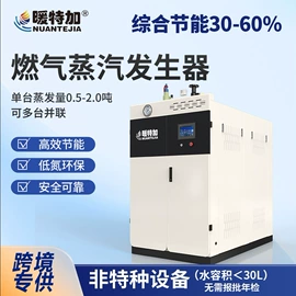 蒸汽发生器;燃气锅炉;其它工业锅炉