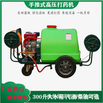 300升电机高压打药机 汽油动力手推式喷雾机 果园果树喷药机