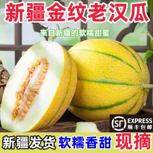 �ϝh���½������خaܛŴ�������ܹϳ���ϾW�y�����r��S���\
