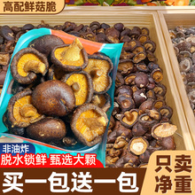 㹽༴ʳer߲˸ɴƬǃͯʳִ¶Ģը