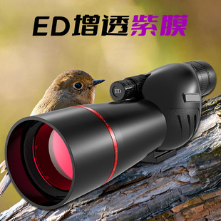 �羳׃����Ͳ���h�R�^�B�R25-75X60�o���B�m׃��ҹҕ�߱����Ռ���