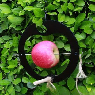 �羳��ƷHanging bird feeder�Ғ�ʽ�Bʳ�������b�