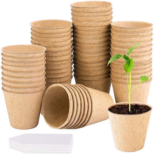 Seedling Pot Paper Pulp Cup Garden Biodegradable Bowl Plant Germination Planting Tools Amazon AliExpress