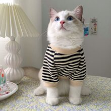 猫咪衣服秋季秋冬宠物狗狗猫猫秋装帅气小奶英短布偶两脚卫衣批发