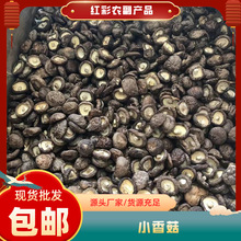 �㹽��؛С�㹽���㹽���lʳ�þ��r�aƷ���X��С�������l���