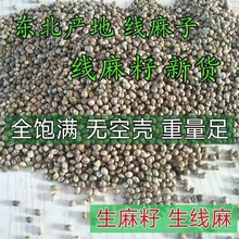 Ұɽ�|���a�� ������ ������ �|��������С�������� �B�Z500�˰�