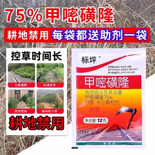 ��ƺ���׻�¡���݄��rș�ĵػ�ɽ�s�ݹ�ľ���à������F·��·