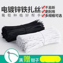 电镀锌铁扎丝扎线铁丝扎带绑线绑丝电缆包皮塑料捆扎软铁芯