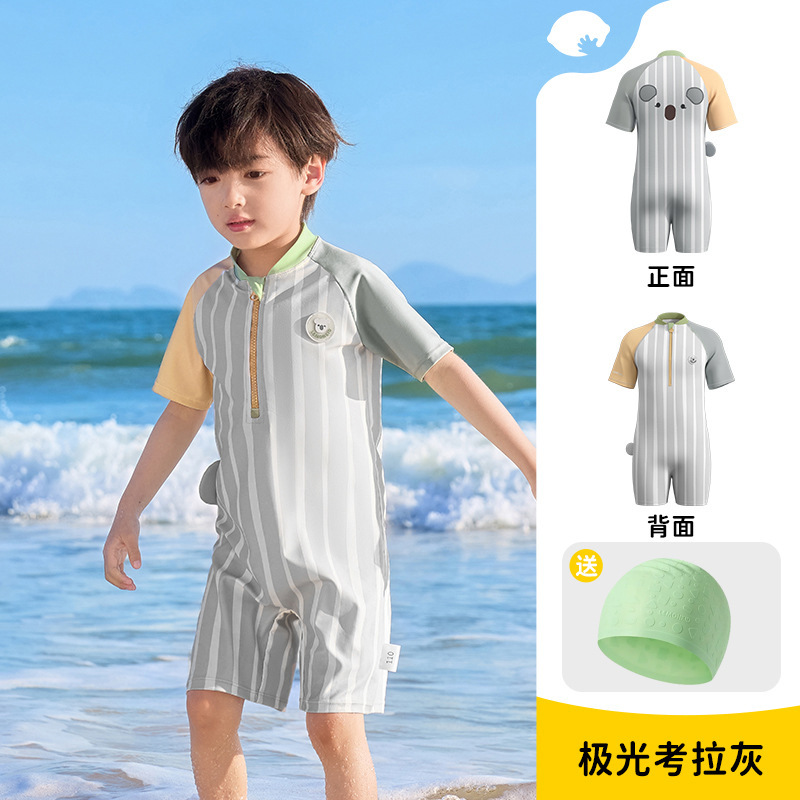 【샴】오로라 코알라 그레이