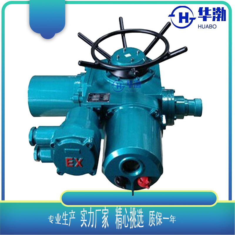ZB60-24隔爆型电动执行机构DZW驱动装置矿用防爆型阀门电动执行器