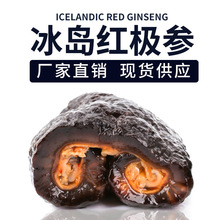 工厂整吨加工批发冰岛俄罗斯红极参整条500g好口感即食海参红极参
