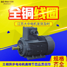 江苏大中电机TBYP1系一级能效隔爆型变频调速三相永磁同步电动机