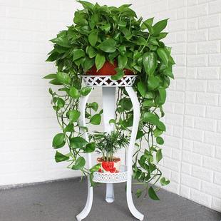 European-Style Flower Stand with Iron Art, Multi-Layer Indoor Floor-Standing Green Radish Flower Rack for Living Room Storage, Balcony Succulent Home Use Fenghong