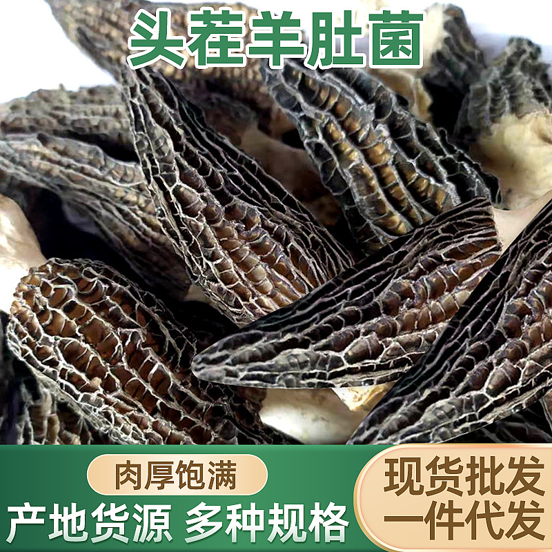 云南头茬羊肚菌 菌菇产地批发 农副产品煲汤炖鸡食用菌干货羊肚菌