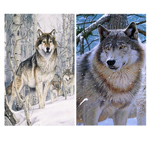 亚马逊热销 5D钻石画套装满钻 狼 DIY贴钻装饰画跨境热销厂家批发