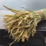 客厅拍摄天然田园风干花束