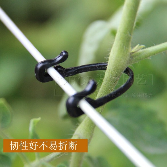 Wholesale grape tie with grape tie buckle buckle and clip vine fixed…