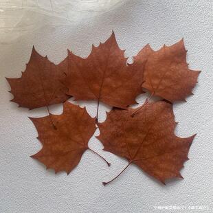 ��ͩ�~��ɫ�tɫ�Sɫ����~���~����ƽ��̎�����diy�~������r��