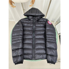 ���ZCROFTON2227�p����q����Ů�A�˼��ô�ͬ�p��������