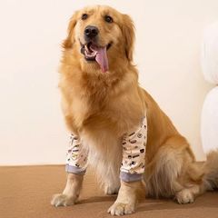 代发新款狗狗护肘衣关节保护套金毛拉布拉多宠物防脏护膝外出四季
