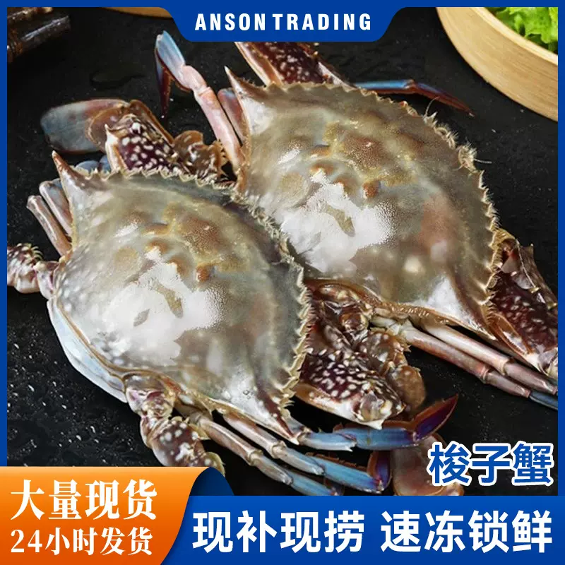 梭子蟹鲜活冷冻新鲜特大螃蟹海鲜水产冷冻海蟹白蟹飞蟹顺丰代发批
