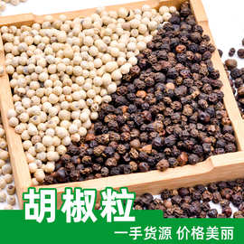 跑江湖地摊展销会白胡椒颗粒批发散装调味料黑胡椒粉新货白胡椒粒