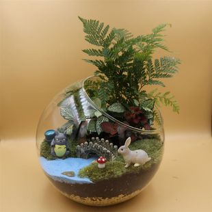 Micro-Landscape DIY Material Package Warm-Up Activity Moss Succulent Ecological Handmade Creative Potted Plant Matchinging Set Wholesale