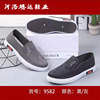 Fashionable sneakers, low footwear, Korean style