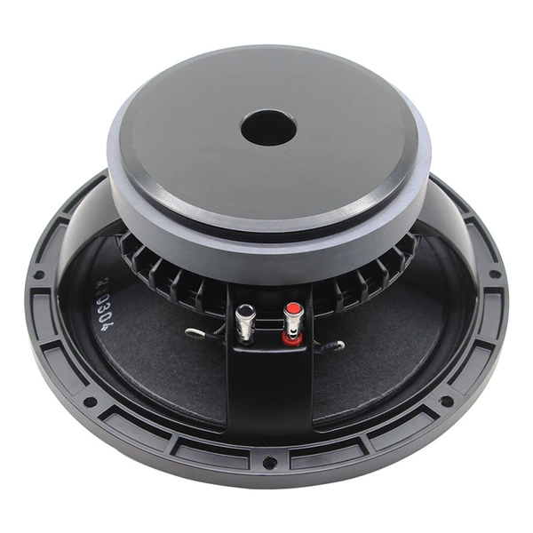 10 inches -300 watts 8 ohm