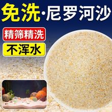 鱼缸造景底沙尼罗河沙化妆沙草缸南美缸鼠鱼底砂河沙黄色细沙水草