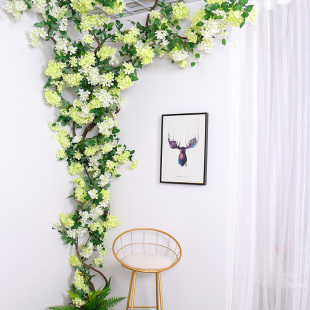 �ѻ����c�����҃ȵ�픹ܵ��b����ϻ��ٗl���仨�l�����p�@