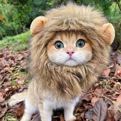 猫咪小狮子头套小型犬狗狗帽子宠物可爱搞怪头饰变装道具cos批发