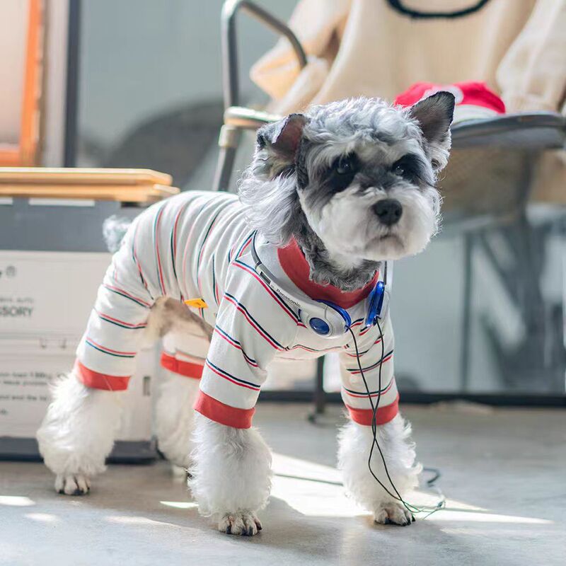 ハンサムなストライプの犬服夏薄い四本足抗脱毛ビションシュナウザー中小型犬服|undefined