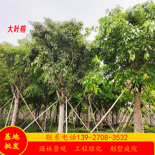 ���~�Ř��ֵ�����10-90�����S�������G����ľ�е����ľ