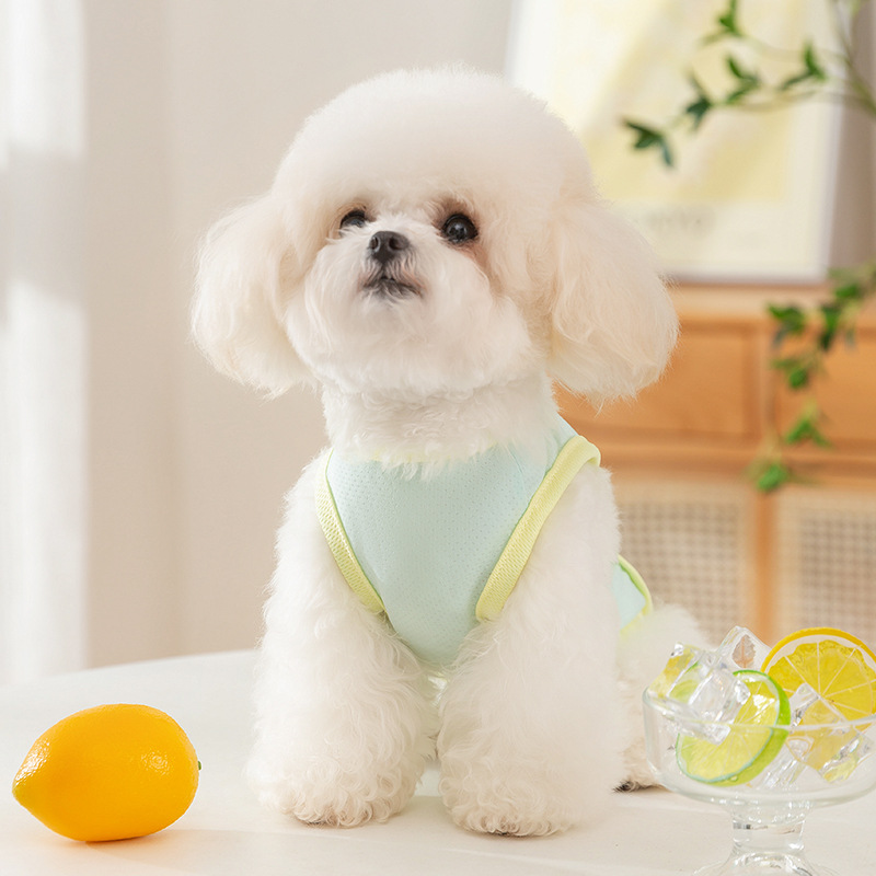 Verano perro delgado chaleco de seda de hielo fresco gato transpirable de dos pies Teddy Bomei perro pequeño ropa para perros