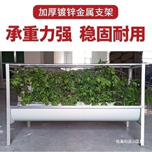 ι��ʳ���B���ϲ۸ɝ�����p�����ϲ���������ι������ϲ�����