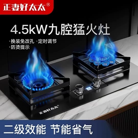 烧烤炉;燃气灶具;野餐炉具