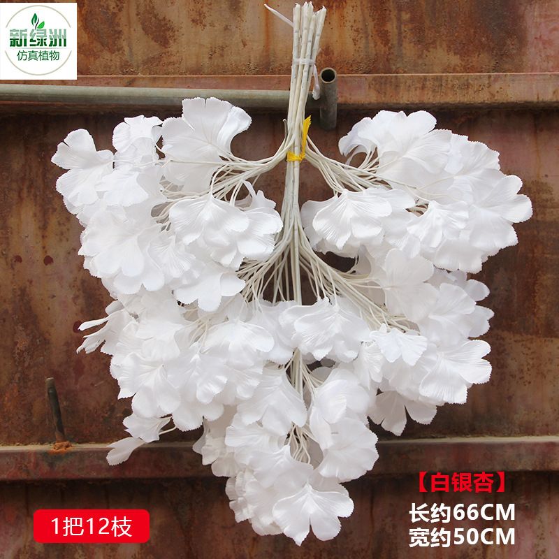 White Ginkgo (1 handful, 12 branches)